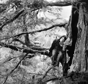 “It’s Not Nice to Mess With Mother Nature”